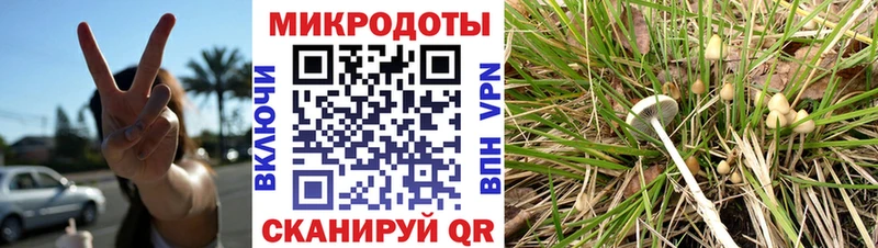 KRAKEN   Каменск-Шахтинский  Галлюциногенные грибы Magic Shrooms 