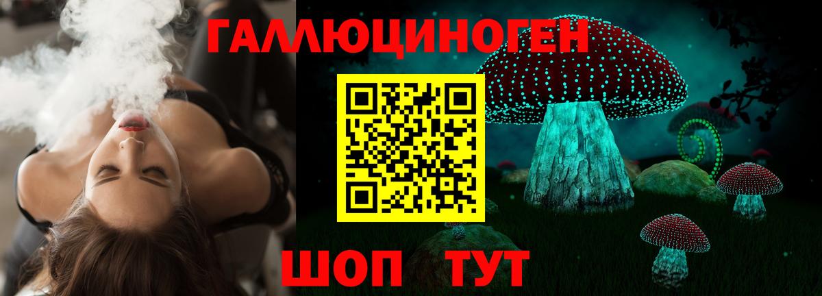 Галлюциногенные грибы Cubensis  закладки  Каменск-Шахтинский  Вход с VPN 