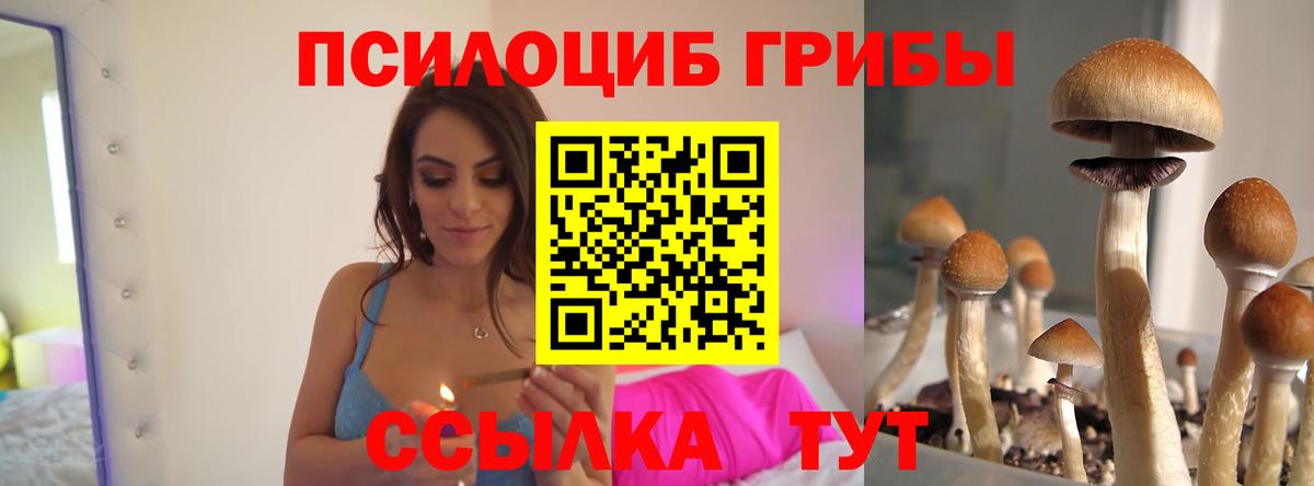 Галлюциногенные грибы Psilocybine cubensis Каменск-Шахтинский